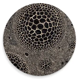 Black And White - 2 Coasters