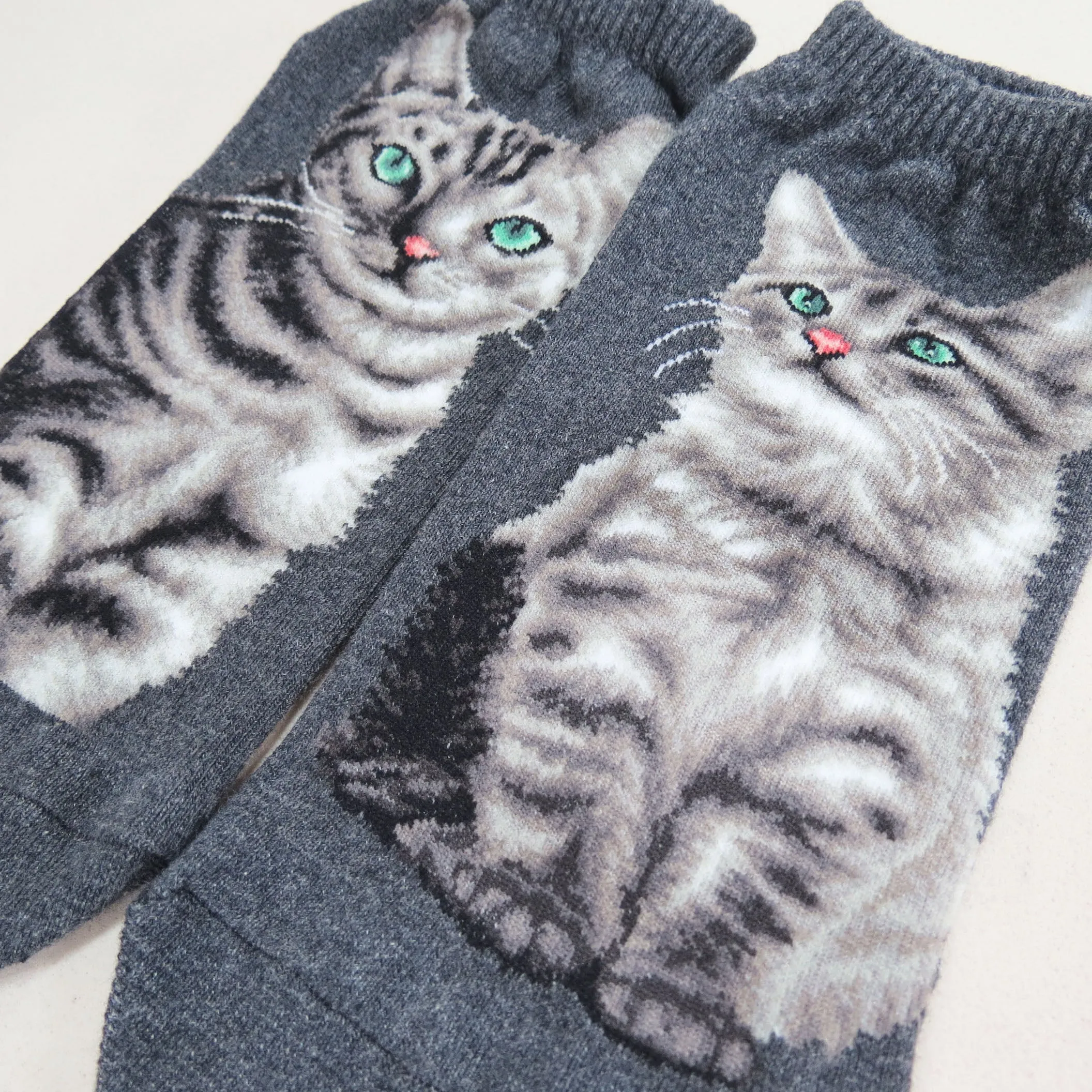 Cat Ankles - American Shorthair Gray