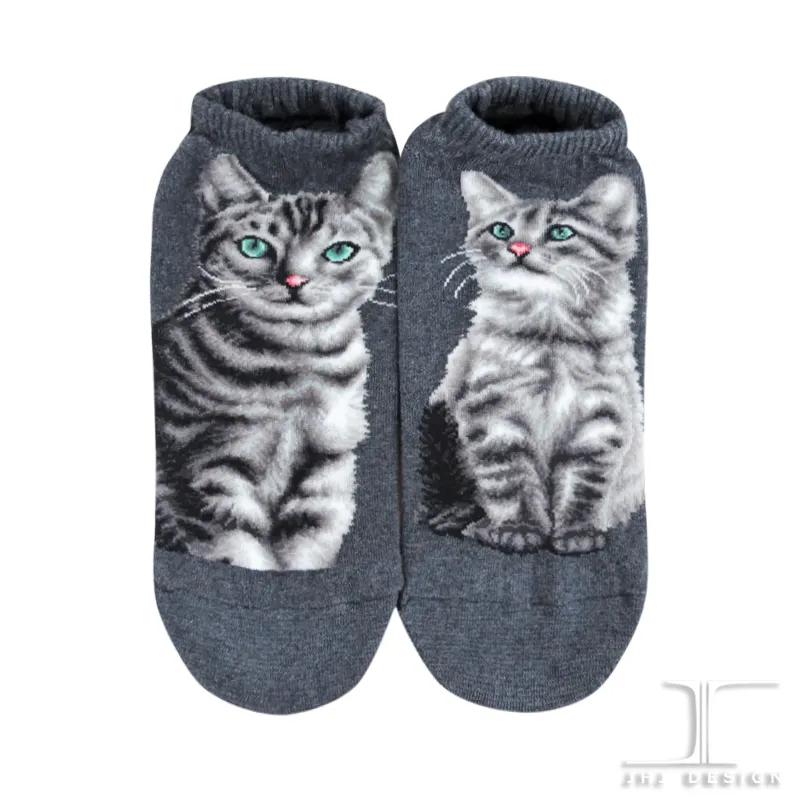 Cat Ankles - American Shorthair Gray