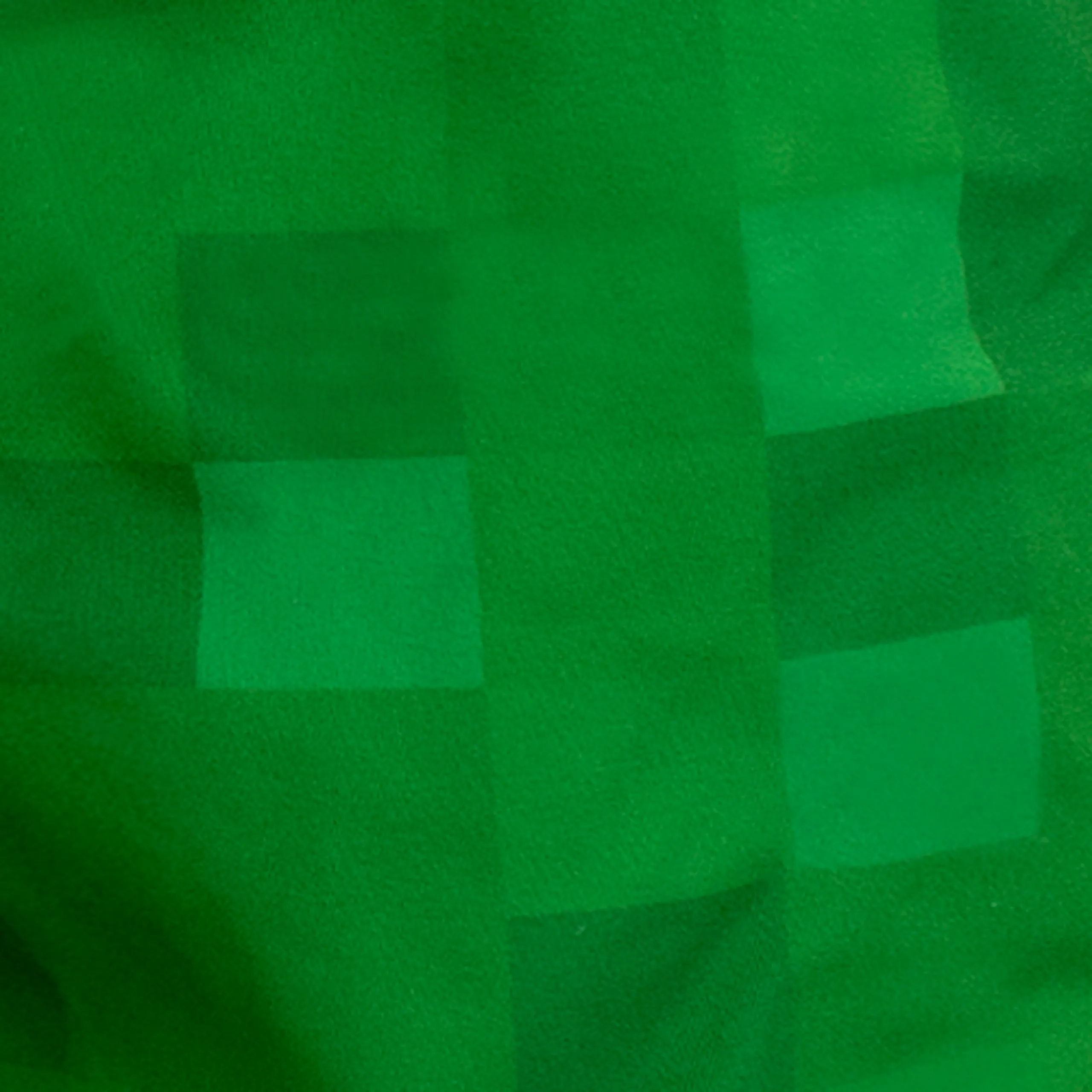 Minecraft 2 Piece Swim Set