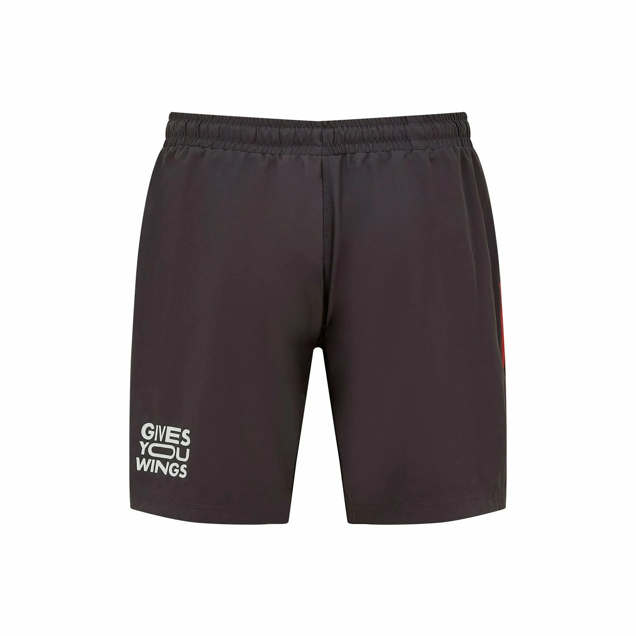 Red Bull Racing F1 Men's Tech Shorts