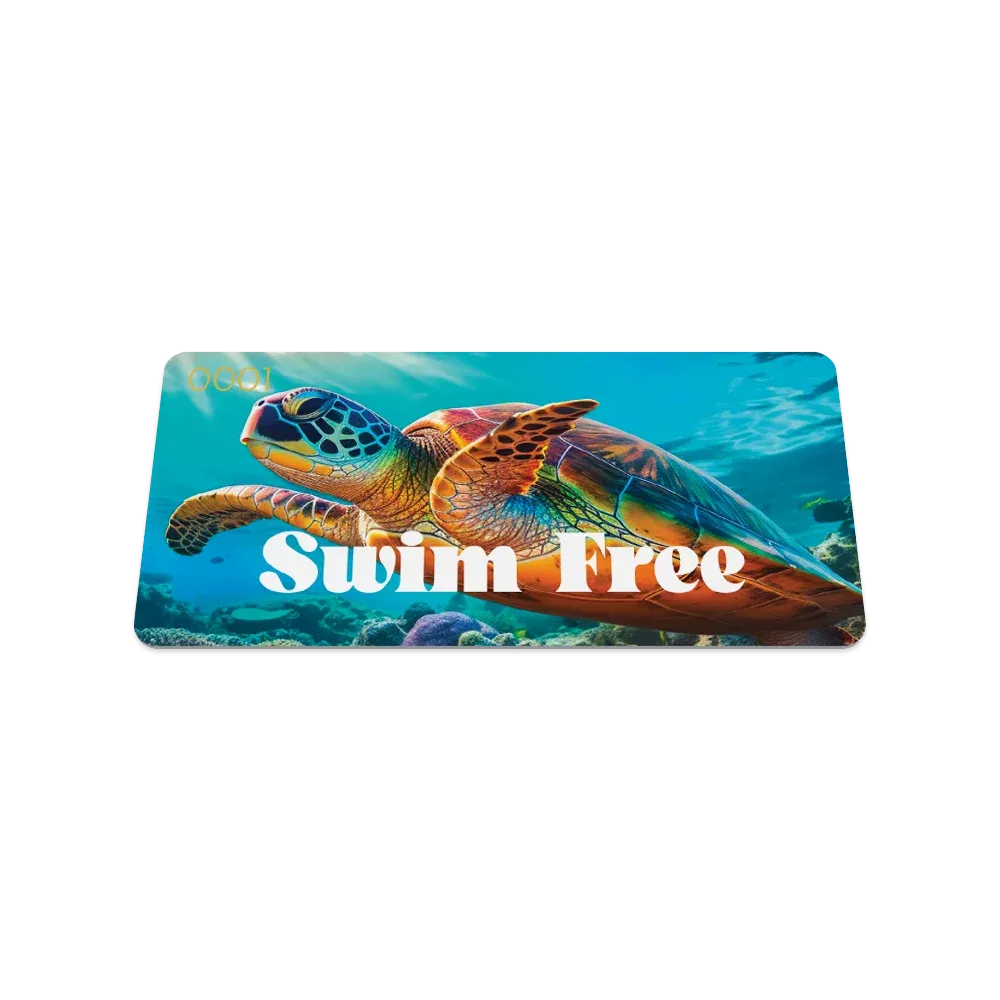 Swim Free Turtle Bracelet