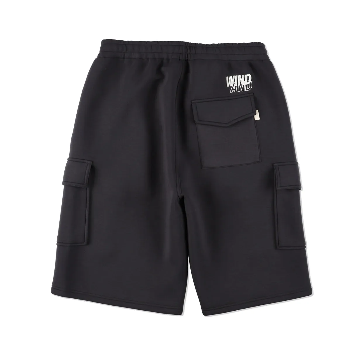 WDS-ES CARDBOARD CARGO SHORT / CHARCOAL